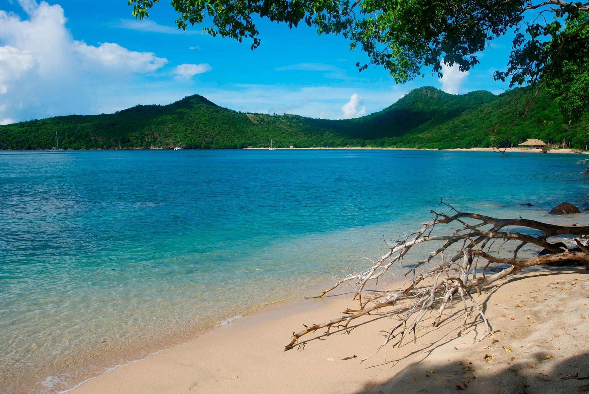 Nice beach by the sea with turquise water in Saint Vincent in sunny weather with few clouds