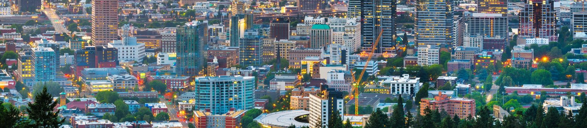 Aerial view of mountain range in Portland at dawn