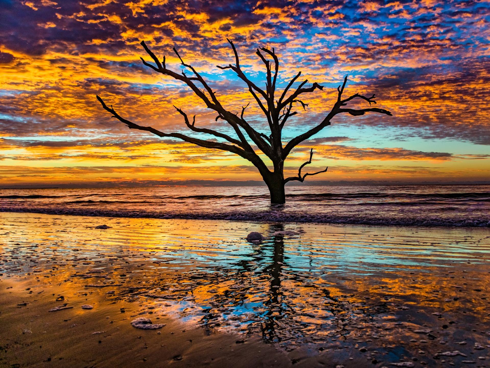 Edisto Beach at sunset time