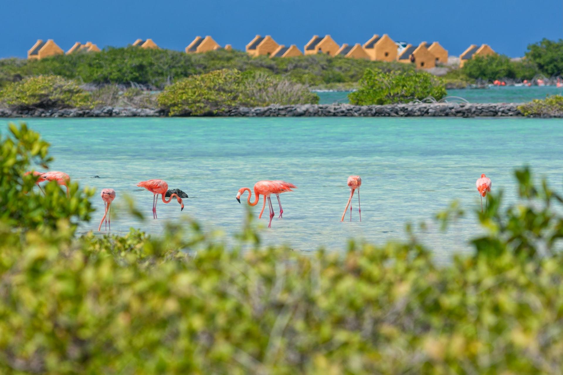 Lake in Bonaire on a sunny day