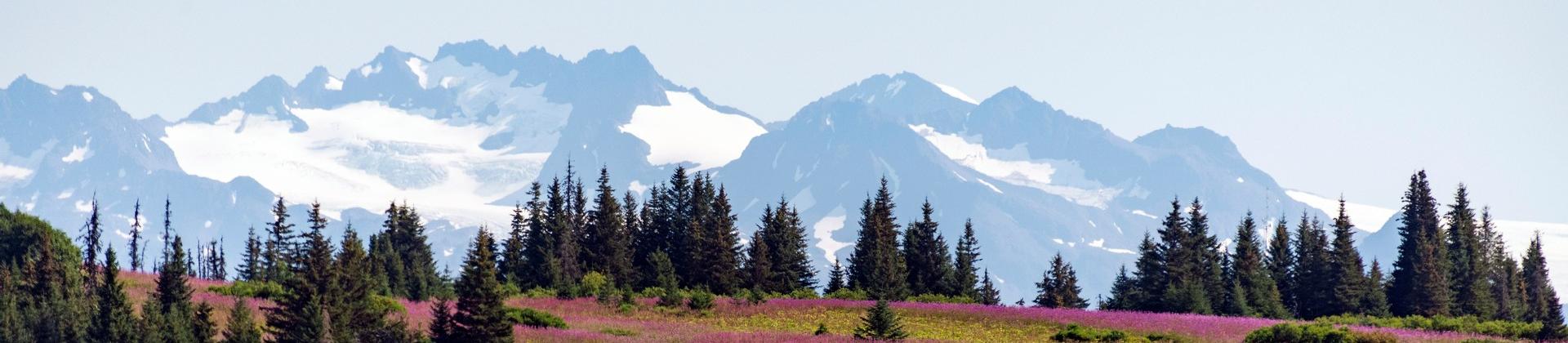 Mountain range near Homer