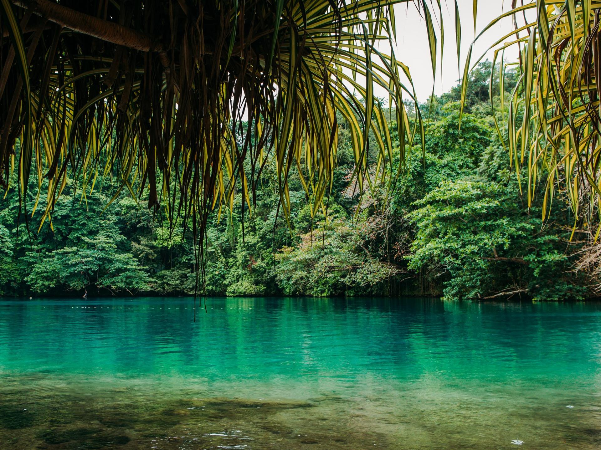 Lake near Port Antonio