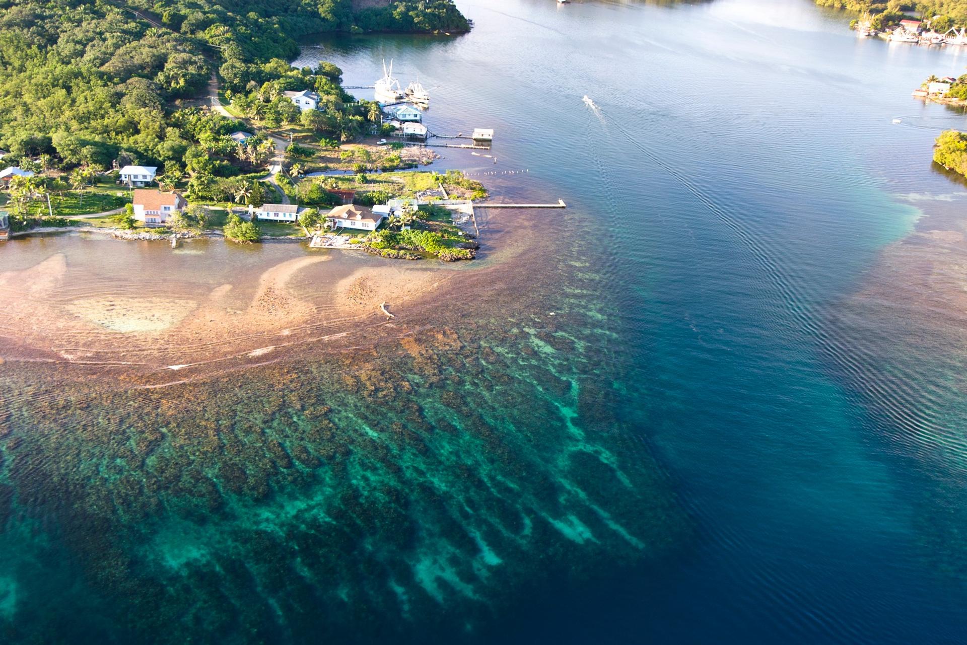 Aerial view of beach with turquise sea in Roatán