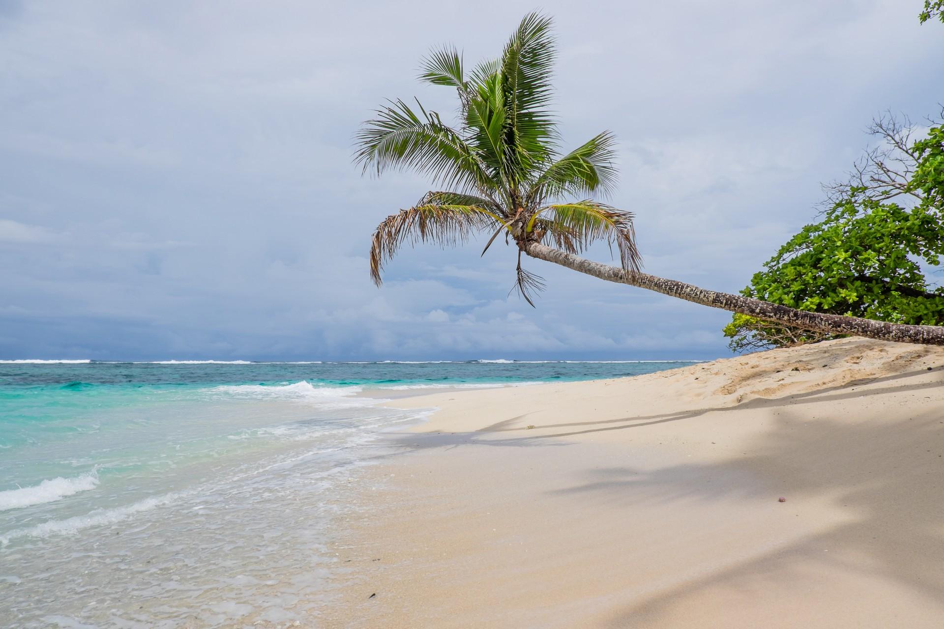  Samoa Weather In December Sunheron