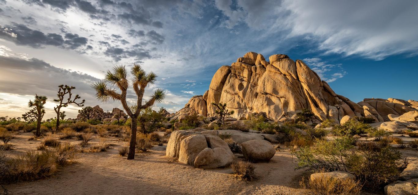 Joshua Tree National Park weather and climate Sunheron