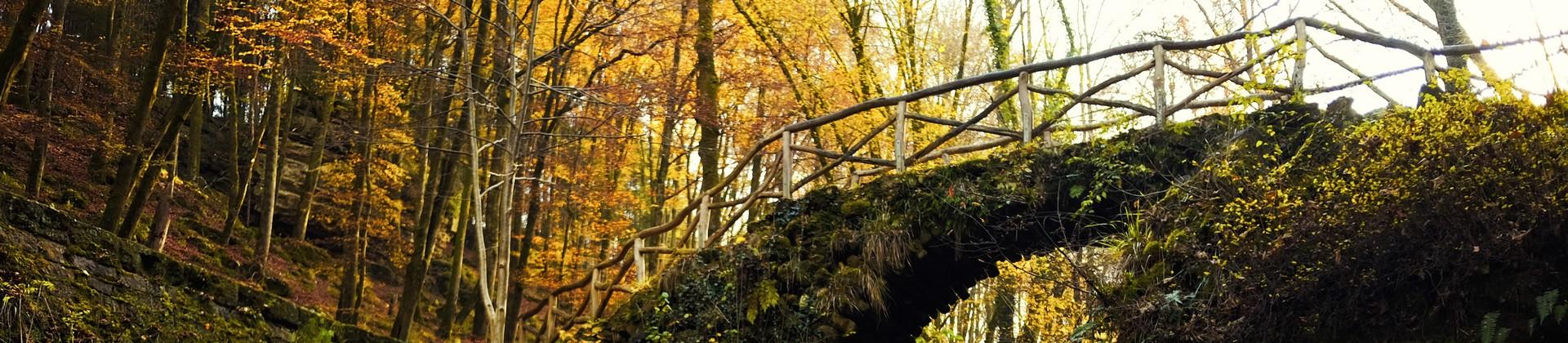 Location near Echternach